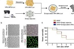 凤凰体育入口 -艰rhybv5uj76u7