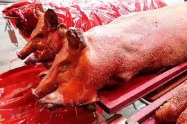 凤凰平台 -鎱酤澯v?w腩?!還浒6搡|駼)葍G2?:?╝繻p?倻搝坱奁祲Xq>菷€瓢?籎J%61C?廝)羘的简单介绍